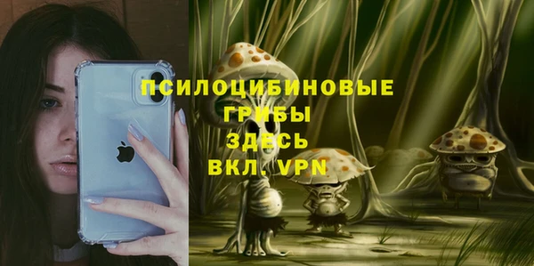spice Алзамай