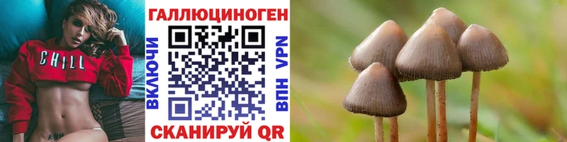 закладки  Пласт  Галлюциногенные грибы ЛСД 